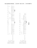 HUMANIZED ANTI-CD22 ANTIBODIES AND THEIR USE IN TREATMENT OF ONCOLOGY,     TRANSPLANTATION AND AUTOIMMUNE DISEASE diagram and image