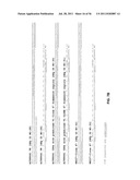 HUMANIZED ANTI-CD22 ANTIBODIES AND THEIR USE IN TREATMENT OF ONCOLOGY,     TRANSPLANTATION AND AUTOIMMUNE DISEASE diagram and image