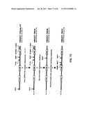 HUMANIZED ANTI-CD22 ANTIBODIES AND THEIR USE IN TREATMENT OF ONCOLOGY,     TRANSPLANTATION AND AUTOIMMUNE DISEASE diagram and image