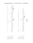 HUMANIZED ANTI-CD22 ANTIBODIES AND THEIR USE IN TREATMENT OF ONCOLOGY,     TRANSPLANTATION AND AUTOIMMUNE DISEASE diagram and image