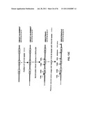 HUMANIZED ANTI-CD22 ANTIBODIES AND THEIR USE IN TREATMENT OF ONCOLOGY,     TRANSPLANTATION AND AUTOIMMUNE DISEASE diagram and image