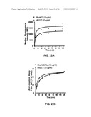 HUMANIZED ANTI-CD22 ANTIBODIES AND THEIR USE IN TREATMENT OF ONCOLOGY,     TRANSPLANTATION AND AUTOIMMUNE DISEASE diagram and image