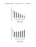 PRODUCT CONTAINING EXTRACT FROM ZANTHOXYLUM AVICENNAE (LAM.) DC., AND     PREPARATION PROCESS AND USE THEREOF diagram and image