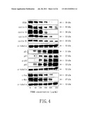 PRODUCT CONTAINING EXTRACT FROM ZANTHOXYLUM AVICENNAE (LAM.) DC., AND     PREPARATION PROCESS AND USE THEREOF diagram and image