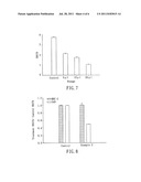 Medical composition for inhibiting the growth of cancer stem cell diagram and image