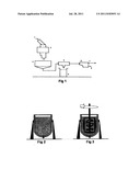 PROCESS FOR REMOVAL OF CONTAMINATIONS FROM ORGANIC OILS diagram and image