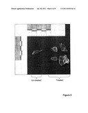 GLASS HARDENING METHODS AND COMPOSITIONS diagram and image