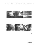 GLASS HARDENING METHODS AND COMPOSITIONS diagram and image