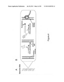 CLASSIFICATION OF NUCLEIC ACID TEMPLATES diagram and image