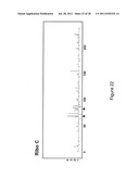 CLASSIFICATION OF NUCLEIC ACID TEMPLATES diagram and image