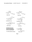 Labelled nucleotides diagram and image