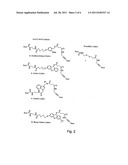 Labelled nucleotides diagram and image