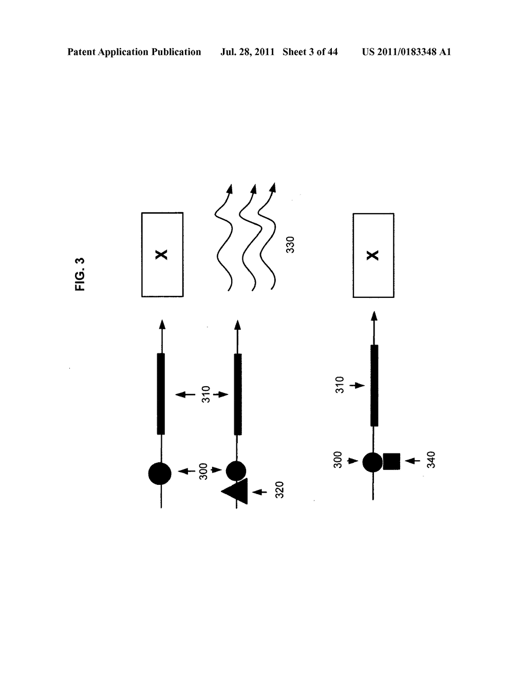 Compositions and methods for therapeutic delivery with microorganisms - diagram, schematic, and image 04