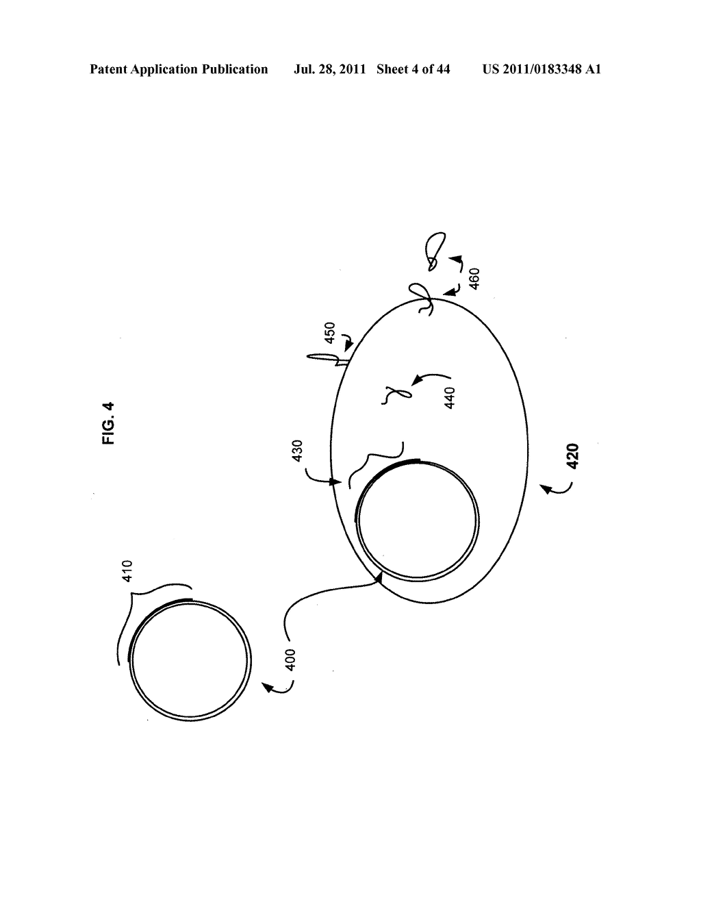 Compositions and methods for therapeutic delivery with microorganisms - diagram, schematic, and image 05