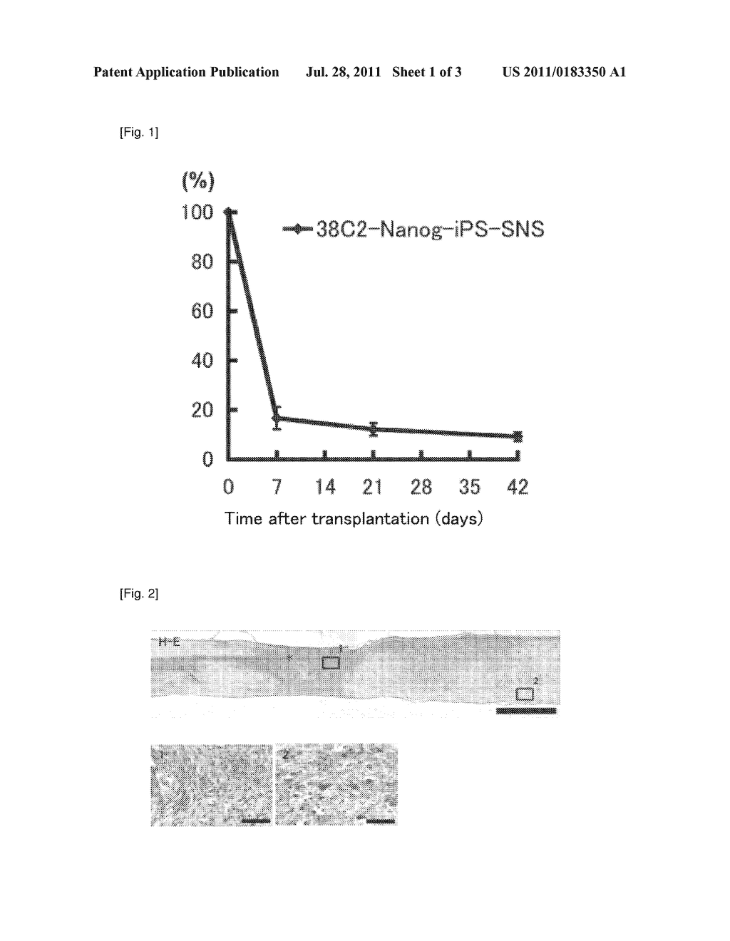 METHOD FOR SELECTING SECONDARY NEUROSPHERE DERIVED FROM DIFFERENTIATED     CELL-DERIVED PLURIPOTENT STEM CELL, CLONE SELECTED BY THE METHOD AND USE     OF THE CLONE - diagram, schematic, and image 02