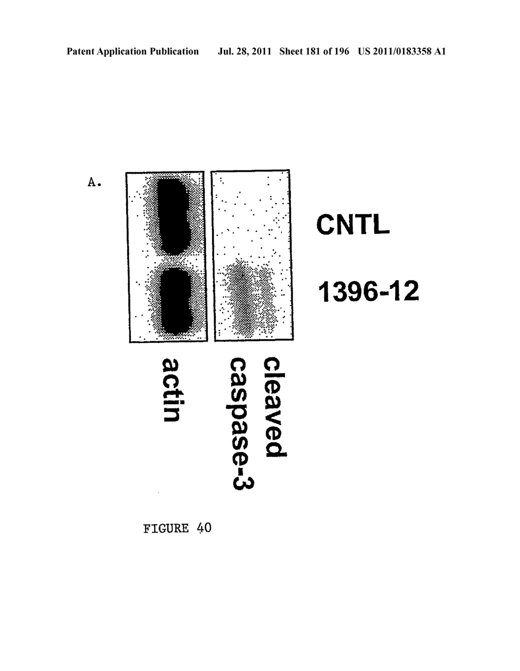 METHODS AND COMPOSITIONS FOR DEREPRESSION OF IAP-INHIBITED CASPASE - diagram, schematic, and image 182