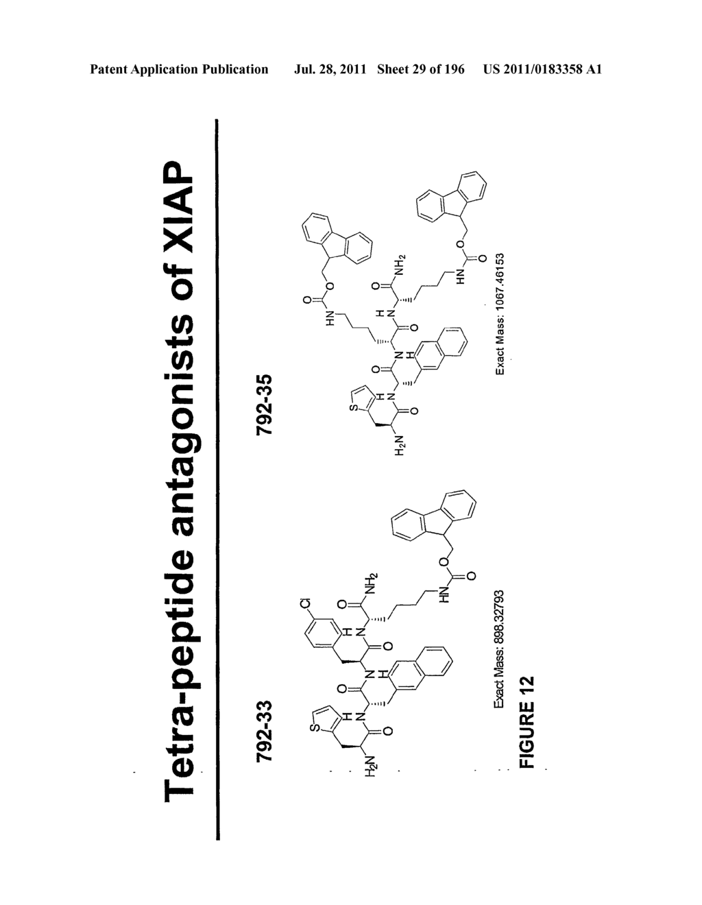 METHODS AND COMPOSITIONS FOR DEREPRESSION OF IAP-INHIBITED CASPASE - diagram, schematic, and image 30