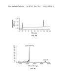 COMPOSITIONS AND METHODS FOR MEASURING LEVELS OF BIOACTIVE HUMAN HEPCIDIN diagram and image