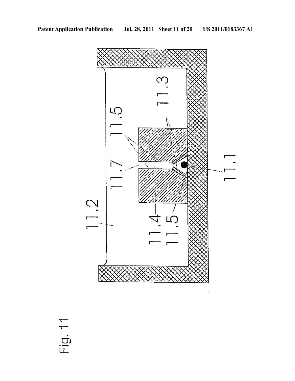 DEVICE AND METHOD FOR NON-INVASIVE MEASUREMENT OF THE INDIVIDUAL METABOLIC     RATE OF A SUBSTANTIALLY SPHERICAL METABOLIZING PARTICLE - diagram, schematic, and image 12