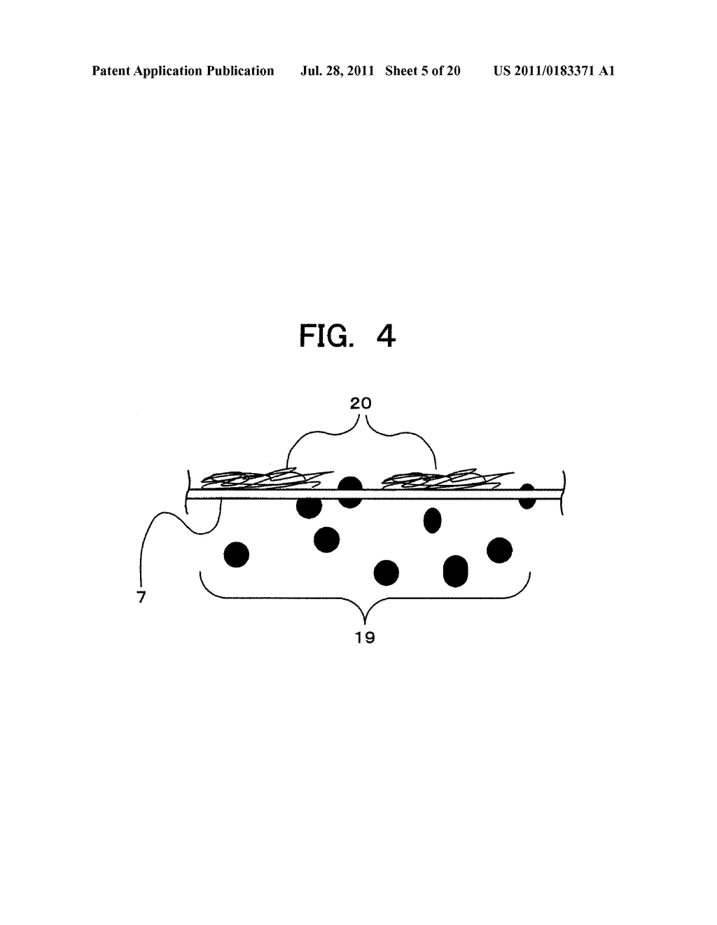 MICROBE-COLLECTING CARRIER CARTRIDGE, CARRIER TREATING APPARATUS, AND     METHOD OF MEASURING MICROBES - diagram, schematic, and image 06