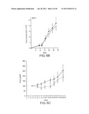 NOVEL ANTI-IGF-IR ANTIBODIES AND USES THEREOF diagram and image