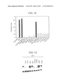 NOVEL ANTI-IGF-IR ANTIBODIES AND USES THEREOF diagram and image