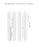 NOVEL ANTI-IGF-IR ANTIBODIES AND USES THEREOF diagram and image