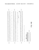 NOVEL ANTI-IGF-IR ANTIBODIES AND USES THEREOF diagram and image