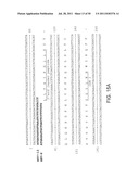 NOVEL ANTI-IGF-IR ANTIBODIES AND USES THEREOF diagram and image