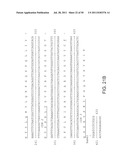 NOVEL ANTI-IGF-IR ANTIBODIES AND USES THEREOF diagram and image