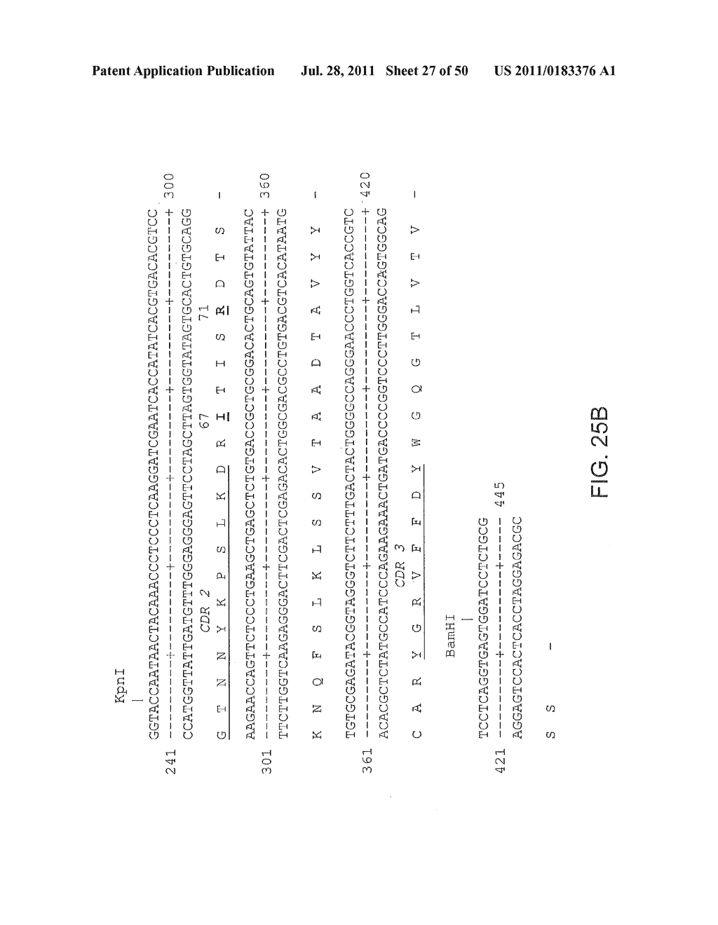 NOVEL ANTI-IGF-IR ANTIBODIES AND USES THEREOF - diagram, schematic, and image 28