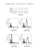 NOVEL ANTI-IGF-IR ANTIBODIES AND USES THEREOF diagram and image