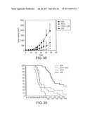 NOVEL ANTI-IGF-IR ANTIBODIES AND USES THEREOF diagram and image