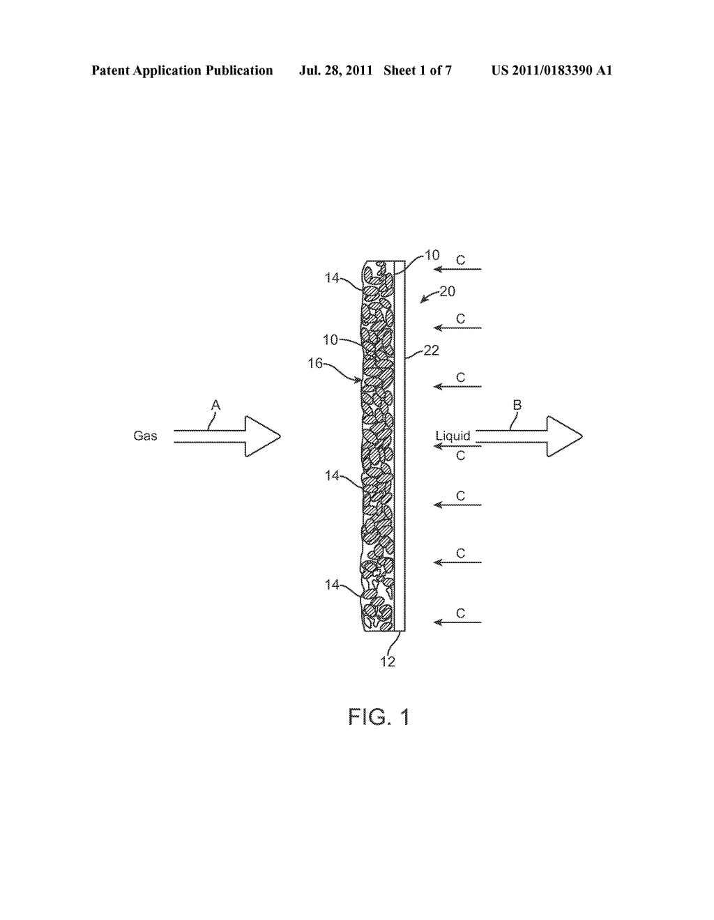 Method of Conversion of Syngas Using Microorganism on Hydrophilic Membrane - diagram, schematic, and image 02