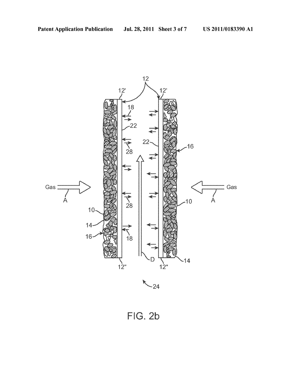 Method of Conversion of Syngas Using Microorganism on Hydrophilic Membrane - diagram, schematic, and image 04