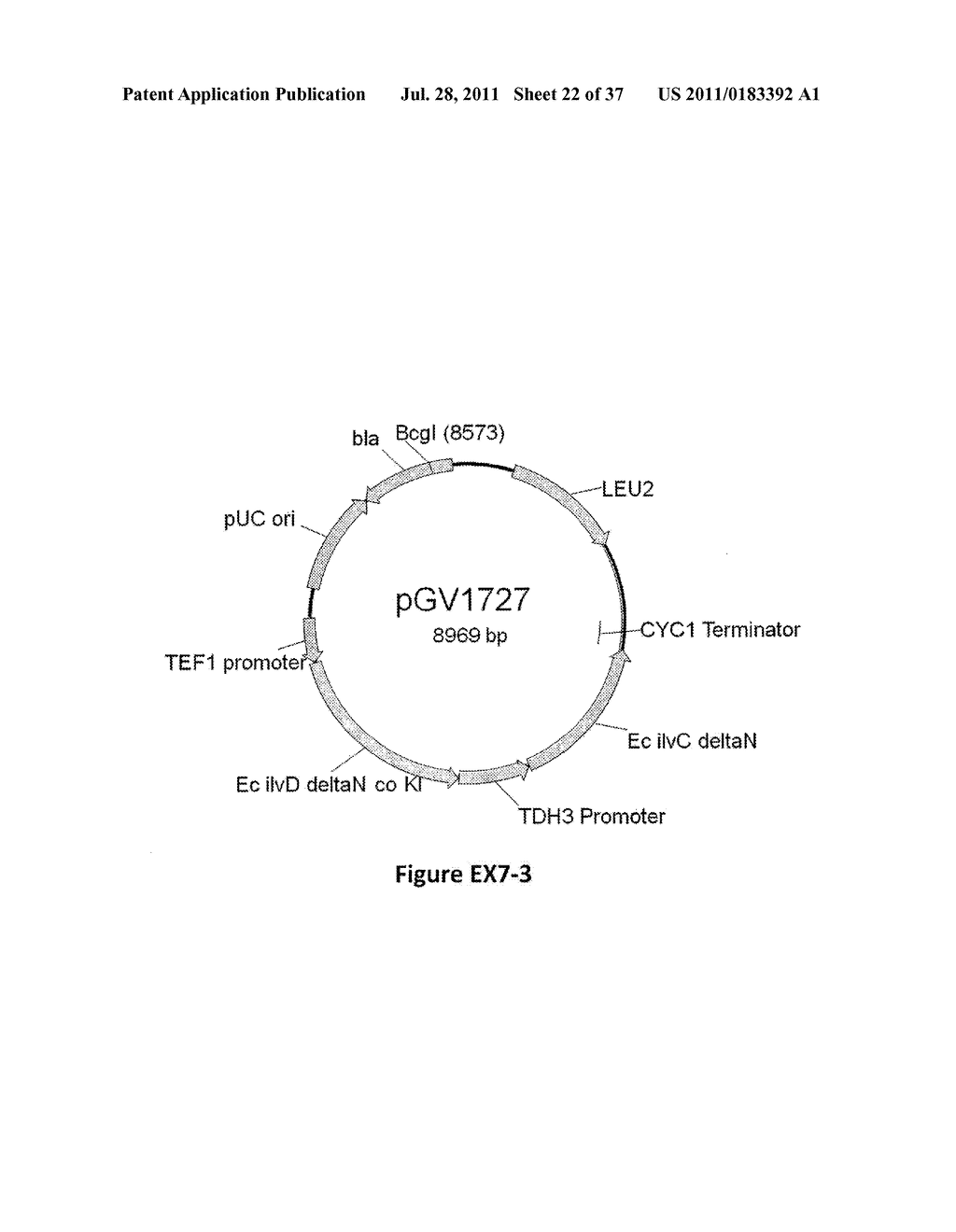 YEAST ORGANISM PRODUCING ISOBUTANOL AT A HIGH YIELD - diagram, schematic, and image 23