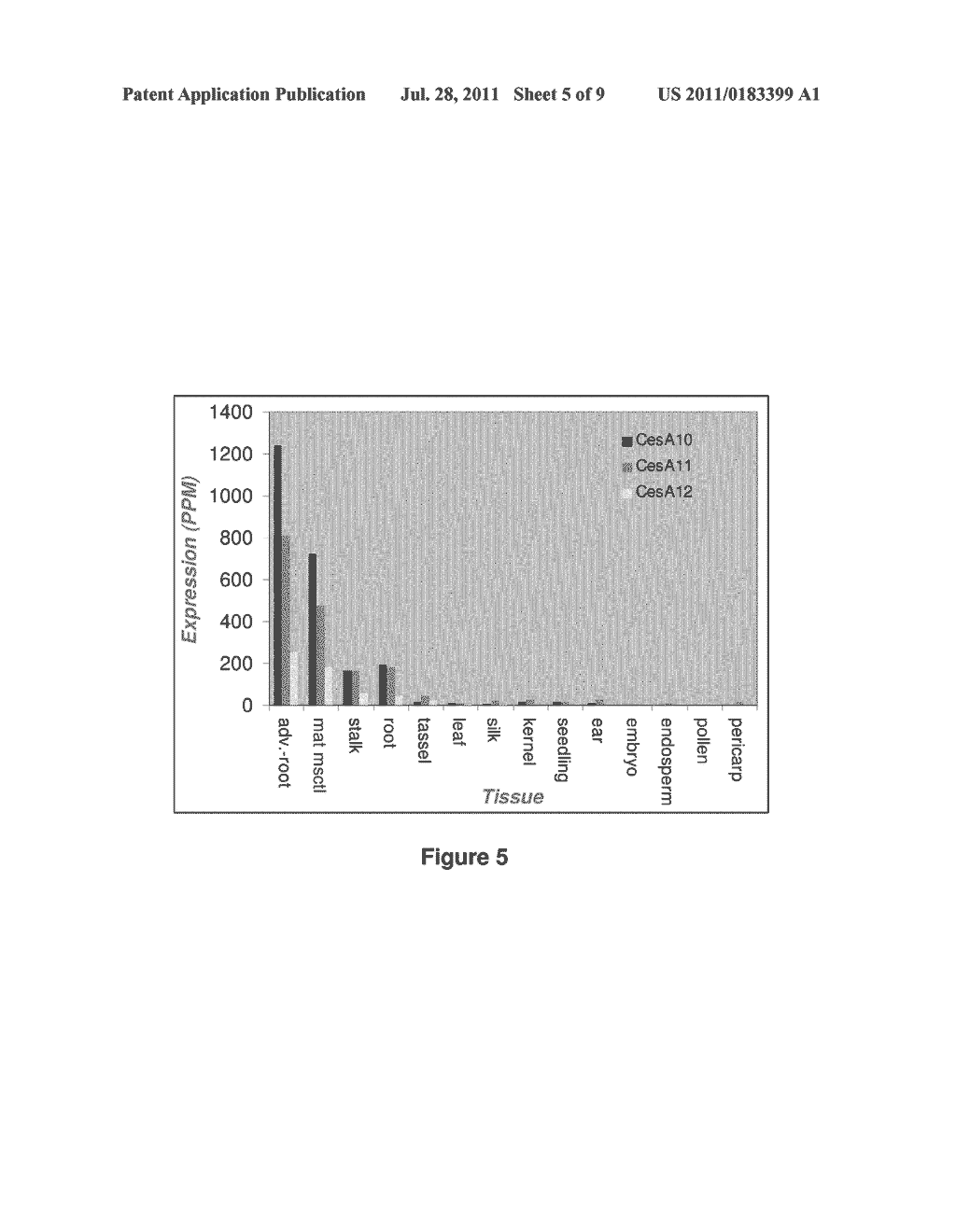 Maize Cellulose Synthases and Uses Thereof - diagram, schematic, and image 06