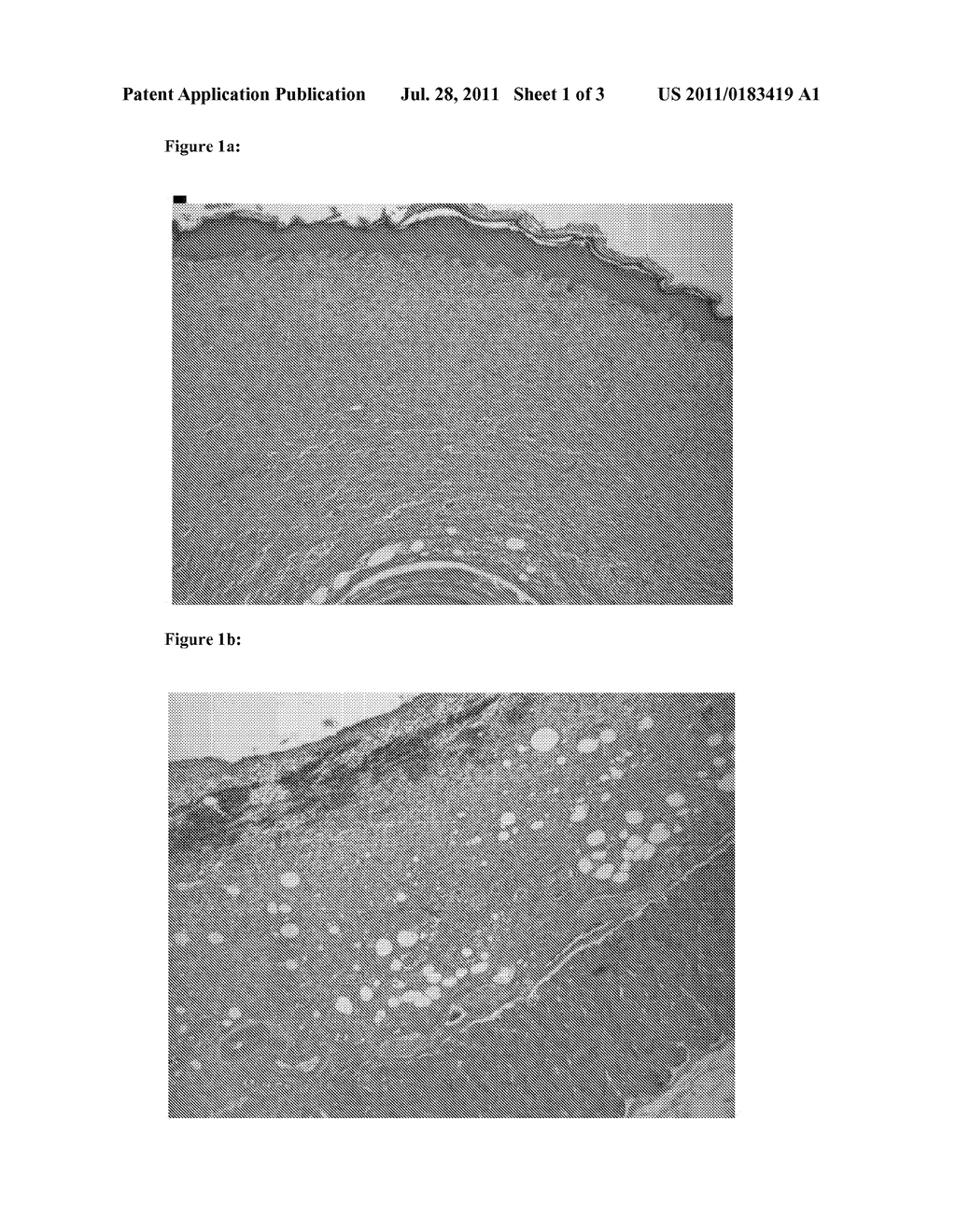 SILICA SOL MATERIAL FOR PRODUCING BILOGICALLY DEGRADABLE AND/OR RESORBABLE     SILICA GEL MATERIALS, THE PRODUCTION AND USE THEREOF - diagram, schematic, and image 02