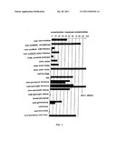 SCREENING FOR NEUROTOXIC AMINO ACID ASSOCIATED WITH NEUROLOGICAL DISORDERS diagram and image