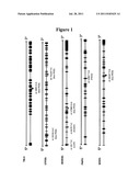 Protein Complexes and Screening Methods diagram and image