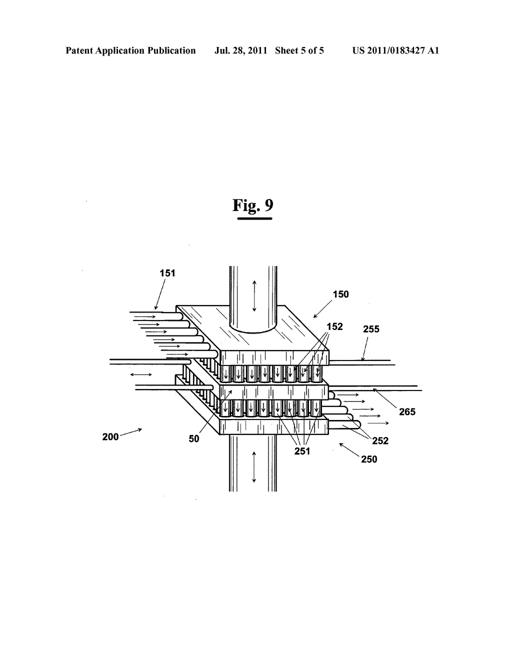 METHOD FOR SEPARATING THE CONSTITUENTS OF A COMPLEX MIXTURE OF PROTEINS TO     SUBMIT TO PROTEOMIC ANALYSIS AND APPARATUS THEREFOR - diagram, schematic, and image 06