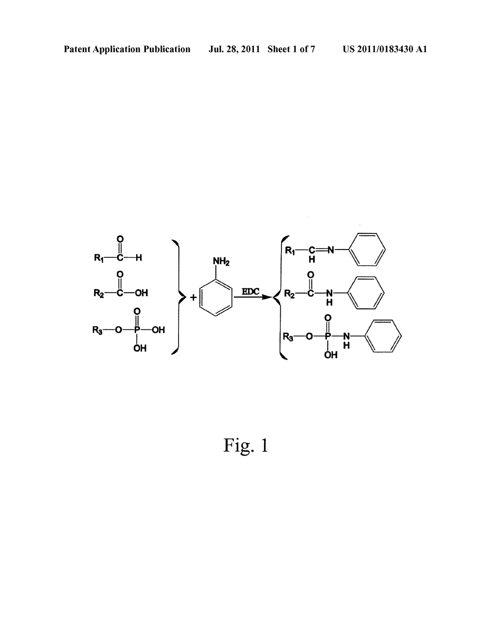 GROUP SPECIFIC INTERNAL STANDARD TECHNOLOGY (GSIST) FOR SIMULTANEOUS     IDENTIFICATION AND QUANTIFICATION OF SMALL MOLECULES - diagram, schematic, and image 02