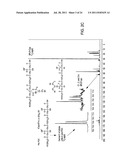 Biodegradable Photoluminescent Polymers diagram and image