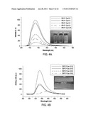 Biodegradable Photoluminescent Polymers diagram and image