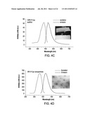 Biodegradable Photoluminescent Polymers diagram and image