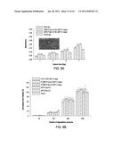 Biodegradable Photoluminescent Polymers diagram and image