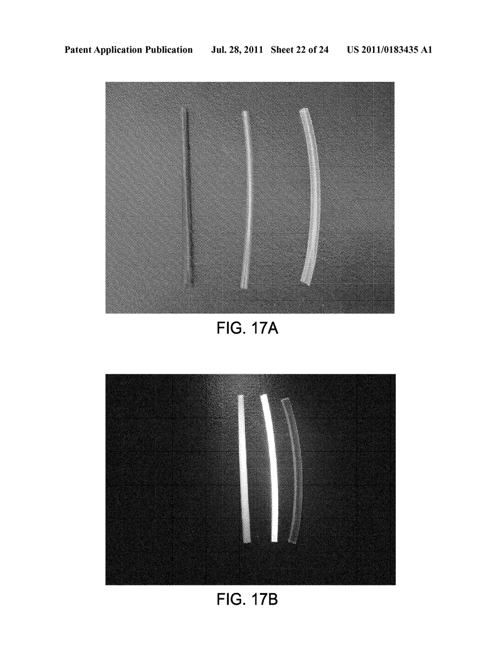 Biodegradable Photoluminescent Polymers - diagram, schematic, and image 23