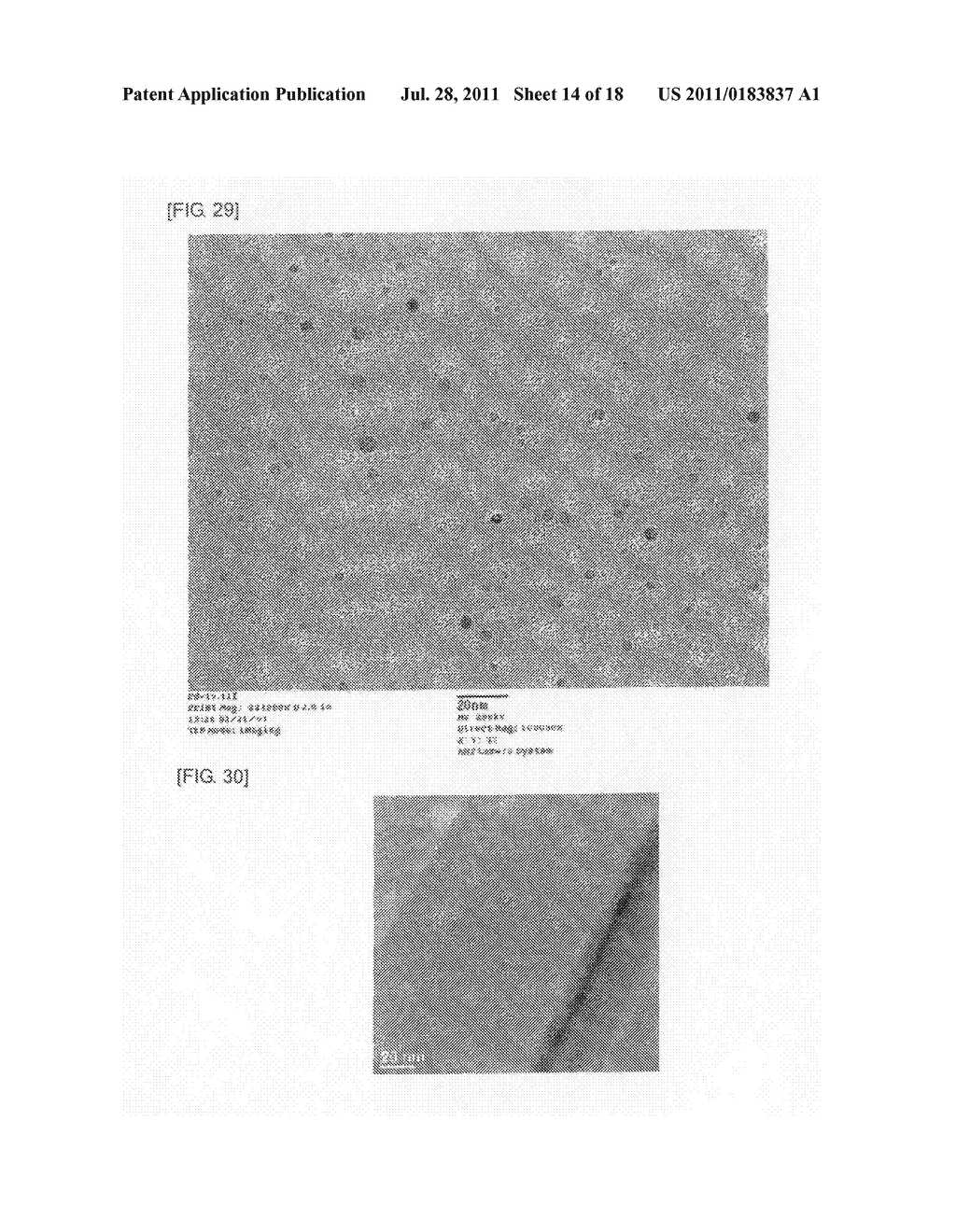 METAL FINE PARTICLE DISPERSANT CONTAINING BRANCHED POLYMER COMPOUND HAVING     AMMONIUM GROUP - diagram, schematic, and image 15