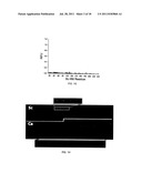 Protein Aggregation Domains and Methods of Use Thereof diagram and image