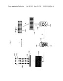 Protein Aggregation Domains and Methods of Use Thereof diagram and image